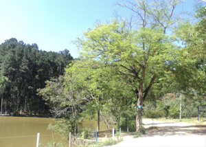 Parque Ecológico de Jandira